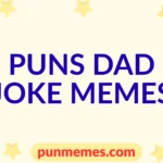 puns dad joke memes