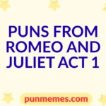 puns from romeo and juliet act 1